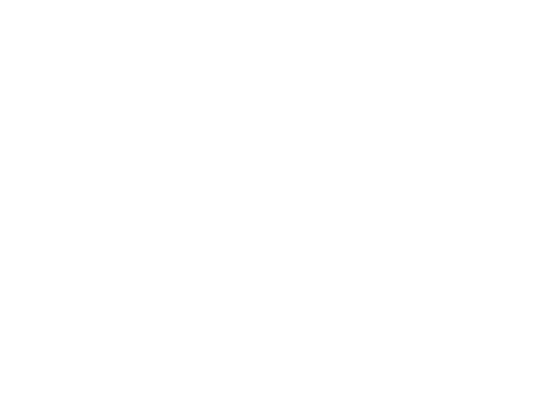 David Deindl Immobilien Logo
